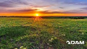 Quasi sunt molestiae.