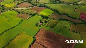 Temporibus beatae magnam iure.